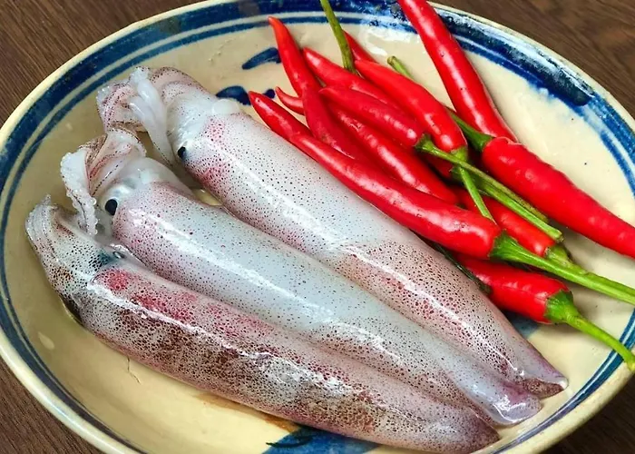 New Century 4* Hạ Long